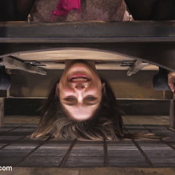Abella Danger in 'Kink' HR Nightmare (Thumbnail 6)