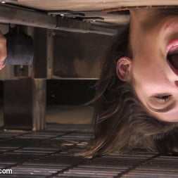 Abella Danger in 'Kink' HR Nightmare (Thumbnail 8)