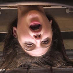 Abella Danger in 'Kink' HR Nightmare (Thumbnail 11)