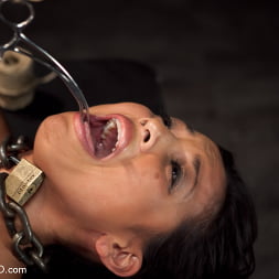 Adrianna Luna in Training Adrianna Luna-Day 4 Extreme Torment (Photo 5) Adrianna Luna in 'Kink' Training Adrianna Luna-Day 4 Extreme Torment (Thumbnail 5)