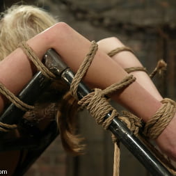 Adrianna Nicole in and Torque (Photo 6) Adrianna Nicole in 'Kink' and Torque (Thumbnail 6)