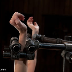 Adrianna Nicole in 'Kink' Tough Titty (Thumbnail 10)
