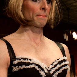Aiden Starr en 'Kink' PRECAUCIÓN: ¡HUMILLACIÓN EXTREMA DE FEMDOM! Humillación de SissyBisexual en vivo (Miniatura 13)