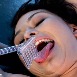 Aiden Starr in 'Kink' Raven Rockette, Fresh Electro Meat! (Thumbnail 5)