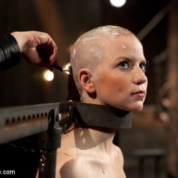 Alani Pi in 'Kink' - Head Shaved Slut Live Show - Part 1 (Thumbnail 13)
