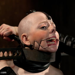 Alani Pi in 'Kink' - Head Shaved Slut Live Show - Part 1 (Thumbnail 16)
