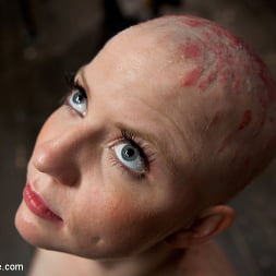 Alani Pi en 'Kink' - Head Shaved Slut Live Show - Part 2 (Miniatura 7)