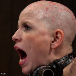 Alani Pi en 'Kink' - Head Shaved Slut Live Show - Part 2 (Miniatura 14)