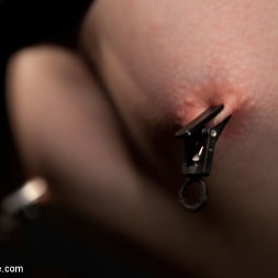 Alani Pi in Exposed and Vulnerable (Photo 14) Alani Pi in 'Kink' Exposed and Vulnerable (Thumbnail 14)