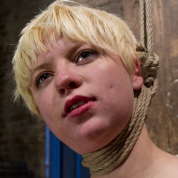 Alani Pi in 'Kink' Welcome Alani Pi to HogTied (Thumbnail 11)