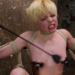 Alani Pi in 'Kink' Welcome Alani Pi to HogTied (Thumbnail 14)