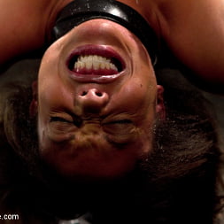 Alexa Cruz en 'Kink' Una estrella porno se deja destrozar en su primera sesión de bondage (Miniatura 14)