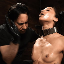 Alexis Tae en 'Kink' Juguete sexual anal bondage (Miniatura 7)