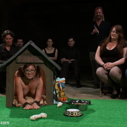Alexxa Bound in Puppy love! Chubby pet turned obedient bitch. (Photo 14) Alexxa Bound in 'Kink' Puppy love! Chubby pet turned obedient bitch. (Thumbnail 14)
