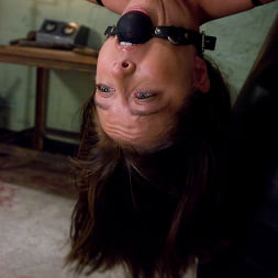 Alicia Stone in 'Kink' The Butcher (Thumbnail 18)