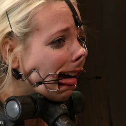 Ally Ann in 'Kink' Ashley Jane, Ally Ann, and Princess Donna Part 2 of 4 of the November Live show (Thumbnail 17)
