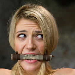 Amanda Tate in 'Kink' Beautiful First Timer Gets Stretched and Nailed (Thumbnail 5)