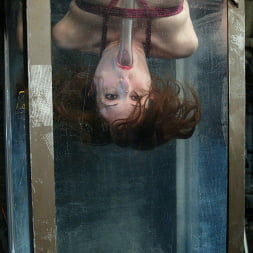 Amber Rayne en 'Kink' Ámbar increíble Rayne (Miniatura 14)