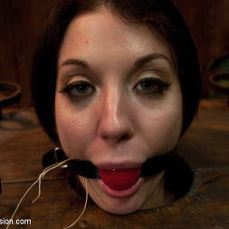 Amy Brooke in 'Kink' The Shoplifter (Thumbnail 10)