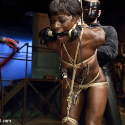 Ana Foxxx in 'Kink' Ana's Orgasm Denial and Control, Day Three (Thumbnail 15)