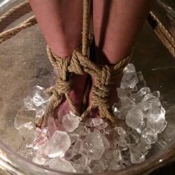 Angelene Black in 'Kink' Angelene Black (Thumbnail 8)