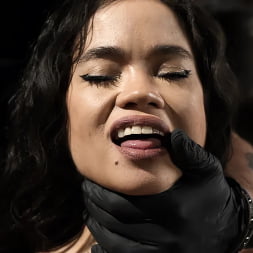 Angelina Moon in 'Kink' Angelina Moon: Too Much to Handle (Thumbnail 4)