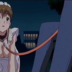 Anime en 'Kink' La doncella en el cielo volumen I (Miniatura 13)