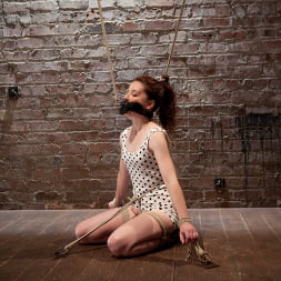 AnnaBelle Lee in - Red Headed Slut - Live Show Part 1 (Photo 1) AnnaBelle Lee in 'Kink' - Red Headed Slut - Live Show Part 1 (Thumbnail 1)