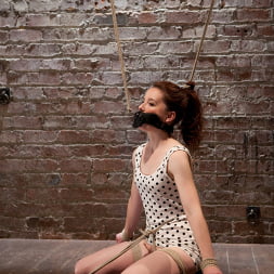 AnnaBelle Lee in - Red Headed Slut - Live Show Part 1 (Photo 10) AnnaBelle Lee in 'Kink' - Red Headed Slut - Live Show Part 1 (Thumbnail 10)