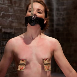 AnnaBelle Lee in - Red Headed Slut - Live Show Part 1 (Photo 16) AnnaBelle Lee in 'Kink' - Red Headed Slut - Live Show Part 1 (Thumbnail 16)