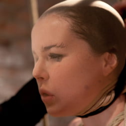 AnnaBelle Lee in - Red Headed Slut - Live Show Part 3 (Photo 14) AnnaBelle Lee in 'Kink' - Red Headed Slut - Live Show Part 3 (Thumbnail 14)
