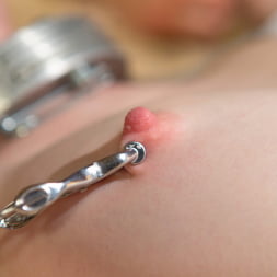Anna Tyler en 'Kink' La nueva esclava de Cherry Torn (Miniatura 14)