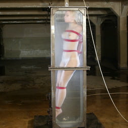 Annette Schwarz en 'Kink' Annette Schwarz (Miniatura 7)