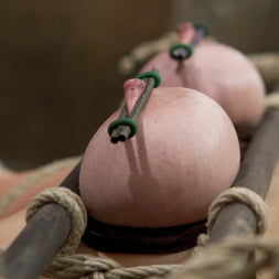 Annika in 'Kink' Returns to HogTied (Thumbnail 6)