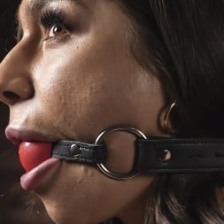 April Olsen in Dominated in Brutal Bondage (Photo 11) April Olsen in 'Kink' Dominated in Brutal Bondage (Thumbnail 11)
