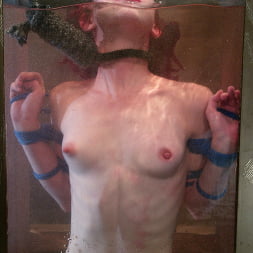 Arachnia Webb en 'Kink' Arachnia Webb (Miniatura 6)