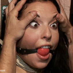 Aria Aspen in Beauty in the Bar (Photo 13) Aria Aspen in 'Kink' Beauty in the Bar (Thumbnail 13)