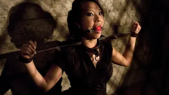 Asa Akira in 'The Massage Parlor'