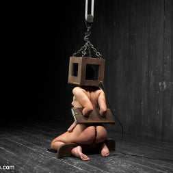 Ashli Orion in Head Case (Photo 7) Ashli Orion in 'Kink' Head Case (Thumbnail 7)