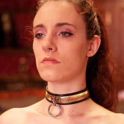 Asphyxia Noir en 'Kink' Fiesta previa a Folsom: segunda parte (Miniatura 15)