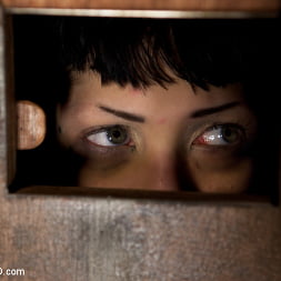 Asphyxia Noir in Ultimate Obedience: Heights, Drowning, and the Dark (Photo 8) Asphyxia Noir in 'Kink' Ultimate Obedience: Heights, Drowning, and the Dark (Thumbnail 8)