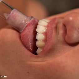 Audrey Rose in Up and coming bondage whole made to cum and squirt with caning and whipping (Photo 15) Audrey Rose in 'Kink' Up and coming bondage whole made to cum and squirt with caning and whipping (Thumbnail 15)