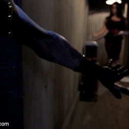August Taylor in Latex Lust (Photo 23) August Taylor in 'Kink' Latex Lust (Thumbnail 23)