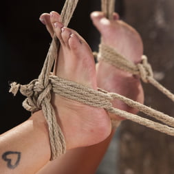 Ava Dalush in 'Kink' Penthouse Pet, Ava Dalush, Gets Devastated in Brutal Bondage!! (Thumbnail 5)