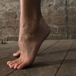 Ava Devine in BIG TITTED MILF Tip toes and made to cum! (Photo 9) Ava Devine in 'Kink' BIG TITTED MILF Tip toes and made to cum! (Thumbnail 9)