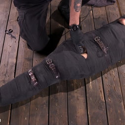 Avi Love in Removing Her Innocence: Avi Love (Photo 4) Avi Love in 'Kink' Removing Her Innocence: Avi Love (Thumbnail 4)
