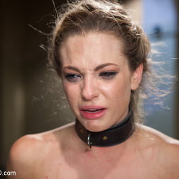 Bailey Blue in Training a Slut Girl to Fuck Better, Day Three (Photo 9) Bailey Blue in 'Kink' Training a Slut Girl to Fuck Better, Day Three (Thumbnail 9)