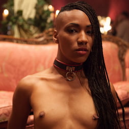 Bella Rossi en 'Kink' Orgía de máscaras con nueve esclavos y cien invitados cachondos, segunda parte (Miniatura 18)
