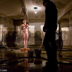 Bella Rossi in 'Kink' The Training of Bella Rossi, Day One (Thumbnail 2)
