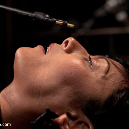 Beretta James in Bangin' Brunette Broad - (Photo 15) Beretta James in 'Kink' Bangin' Brunette Broad - (Thumbnail 15)